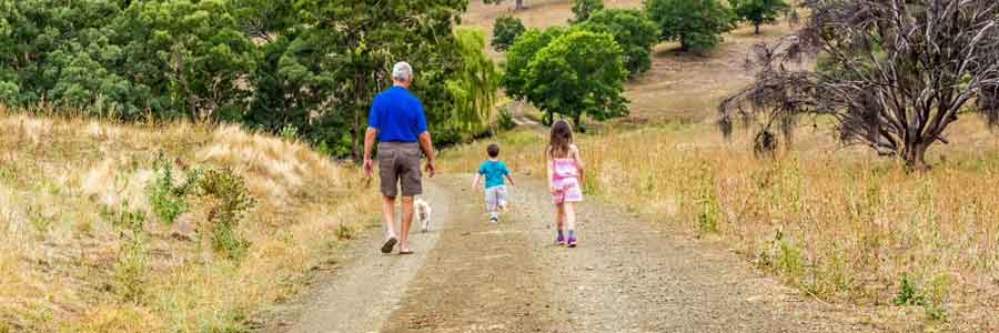Man with children walking through a field